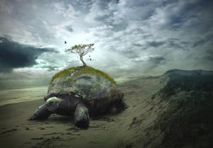 The Creation of Turtle Island