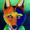 Modern Coyote 
