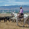 Reno Cattle Drive 16