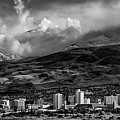 Reno Storm Black and White